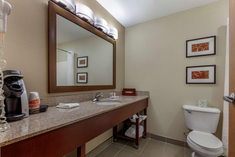 Bathroom 4, Comfort Suites Delavan - Lake Geneva Area, Walworth