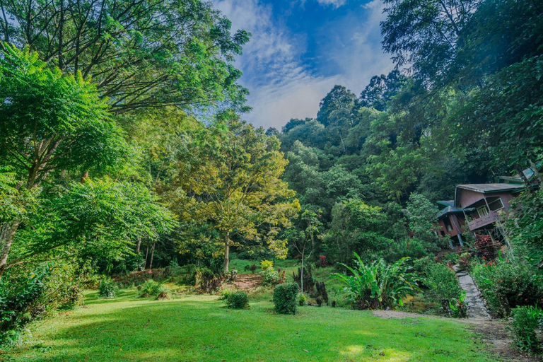 Others 3, Pak Mus Guest House Ketambe - 0813-7072-1793, Southeast Aceh