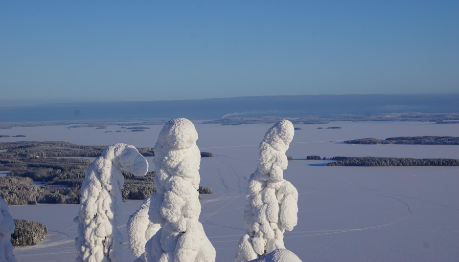 Others 5, Kolin Aamuranta, North Karelia