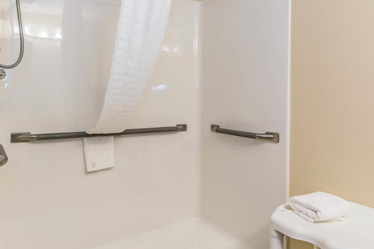Bathroom 4, Comfort Suites Springfield - OH, Clark