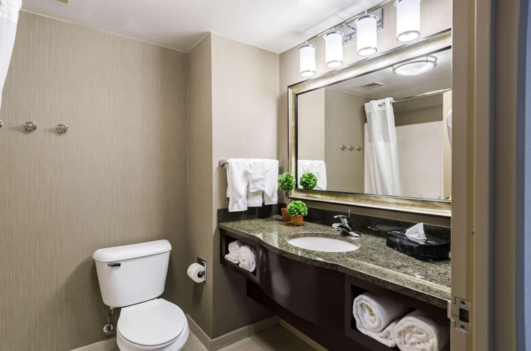 Bathroom 4, Comfort Inn & Suites Logan Airport, Suffolk