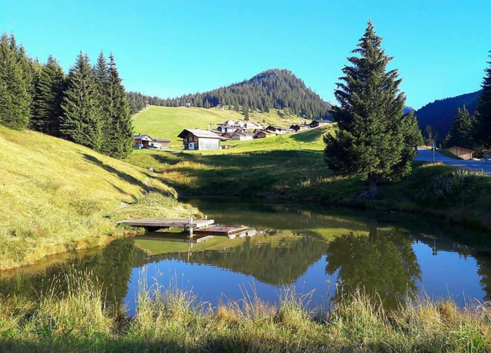 View from property 2, Holiday Home Near ski Resort in St. Gallenkirch, Bludenz