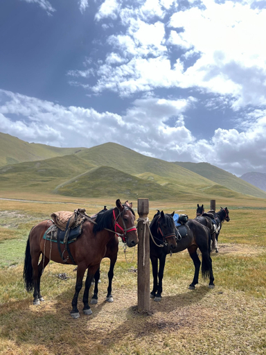 Others 4, Kel-Suu Kyrgyzstan Yurt Camp, At-Bashi