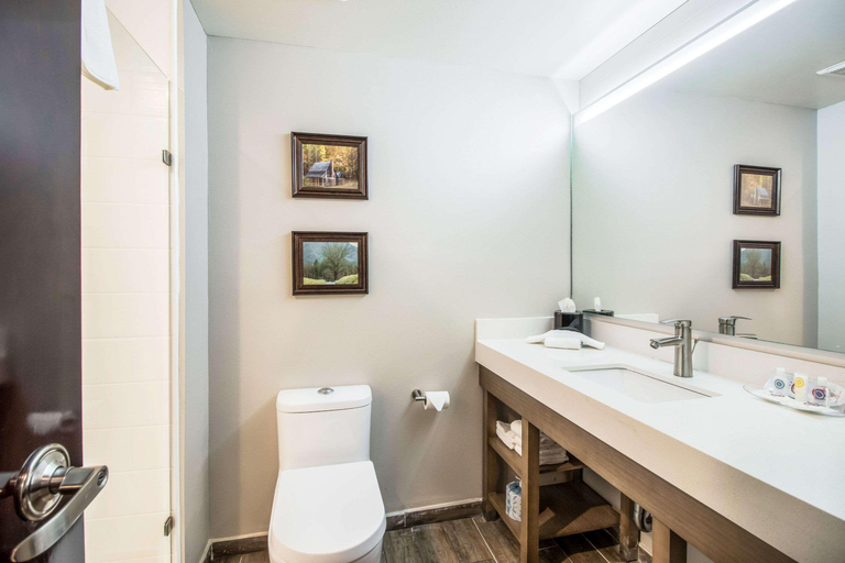 Bathroom 4, Comfort Suites Columbia, Maury