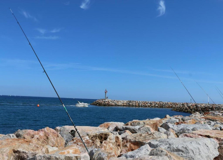 View from property 5, Airy Getaway by the Sea, Pyrénées-Orientales