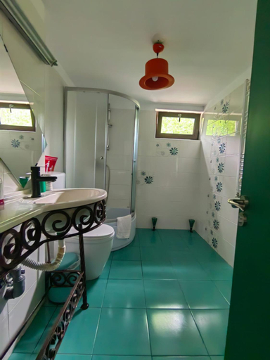 Bathroom 3, Casuta Din Padure Malaia, Malaia