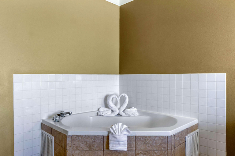 Bathroom 4, Comfort Suites Plainview, Hale