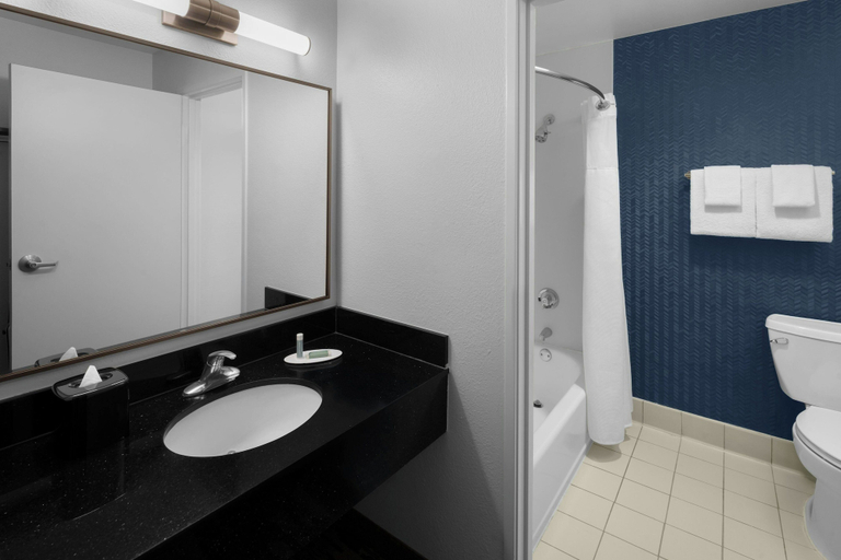 Bathroom 5, Fairfield Inn Santa Clarita Valencia, Los Angeles