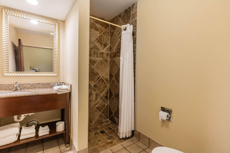 Bathroom 5, Comfort Inn & Suites Jasper Hwy 78 West, Walker