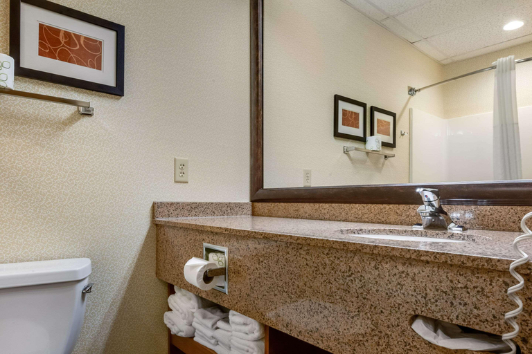 Bathroom 5, Comfort Suites Hotel and Conference Center, Holmes