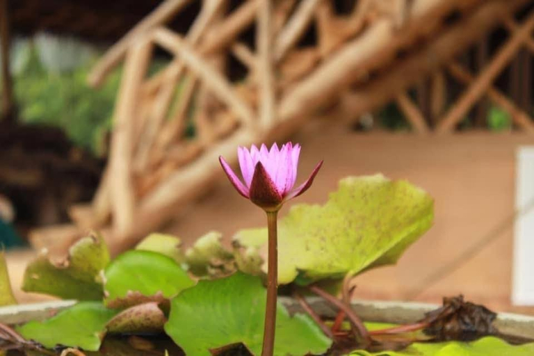 Others 5, Tea Garden Eco Villas, Pitabeddara