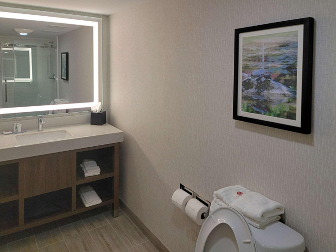 Bathroom 4, Comfort Inn & Suites Wyomissing Reading, Berks