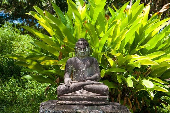 Others 5, Kirpal Meditation and Ecological Center, Hawaii