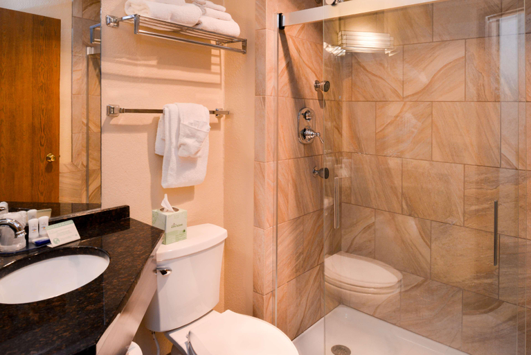 Bathroom 4, Best Western Galena Inn & Suites, Jo Daviess
