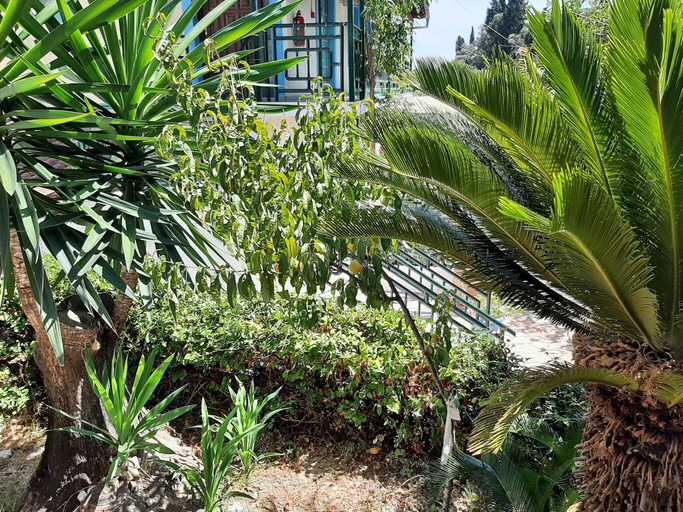 1, Romantic apartment in Mpenitses with shared pool, Ionian Islands