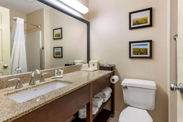 Bathroom, Comfort Inn Great Falls Central, Cascade