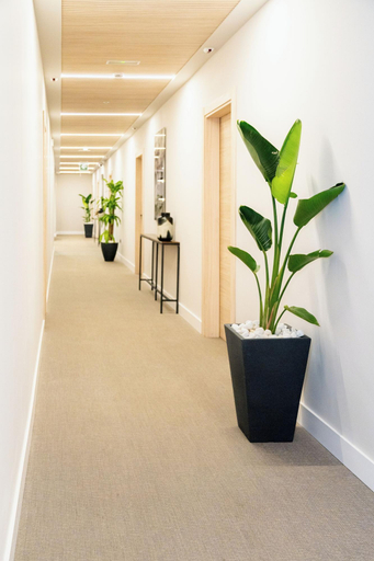 Public Area 2, Hotel Apartments Primus Suites, Valencia