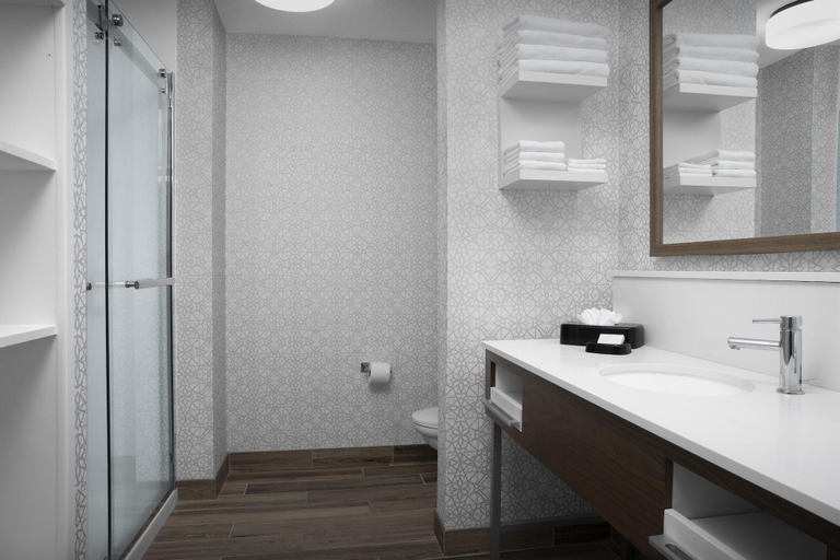 Bathroom 4, Hampton Inn & Suites Laurel, MS, Jones