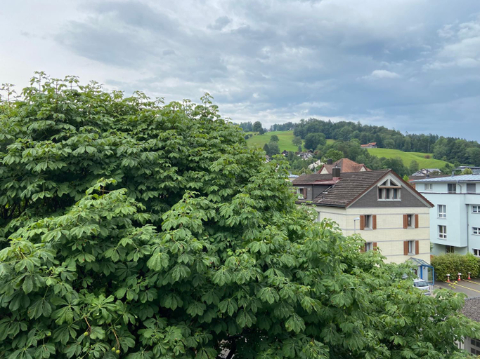 Others 3, Hotel National, Toggenburg