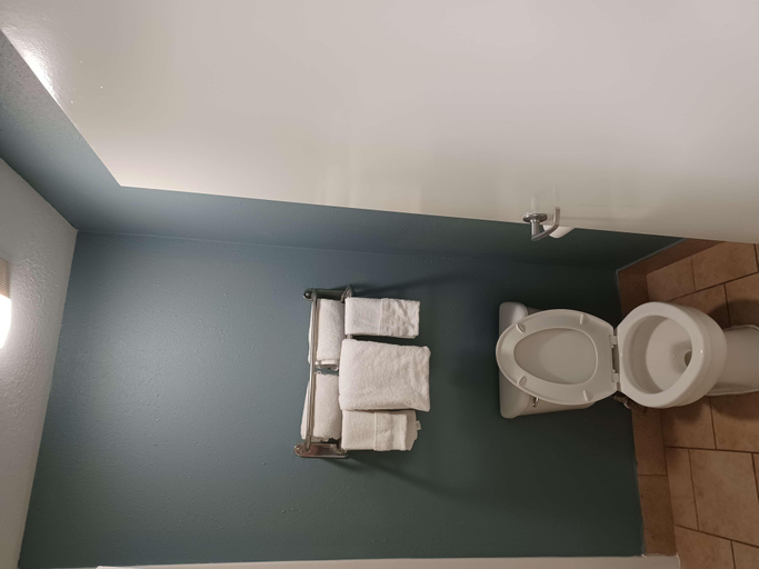 Bathroom 4, Huntsville Inn & Suites , Walker