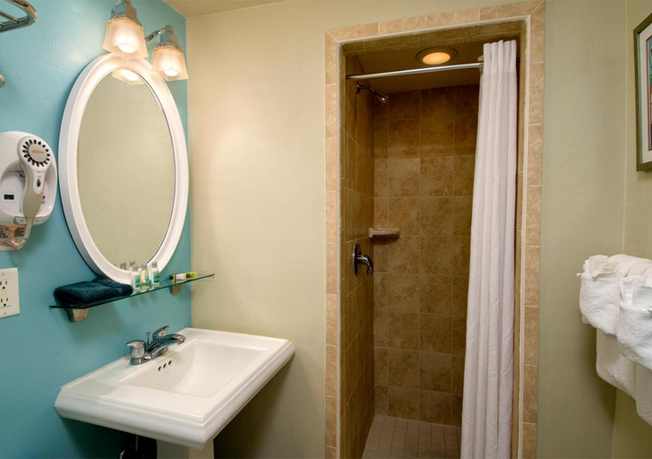 Bathroom 4, Palm Pavilion Inn, Pinellas