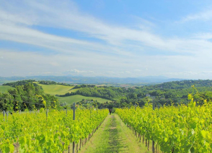 View from property 5, Relaxing Retreat in Le Marche, Macerata