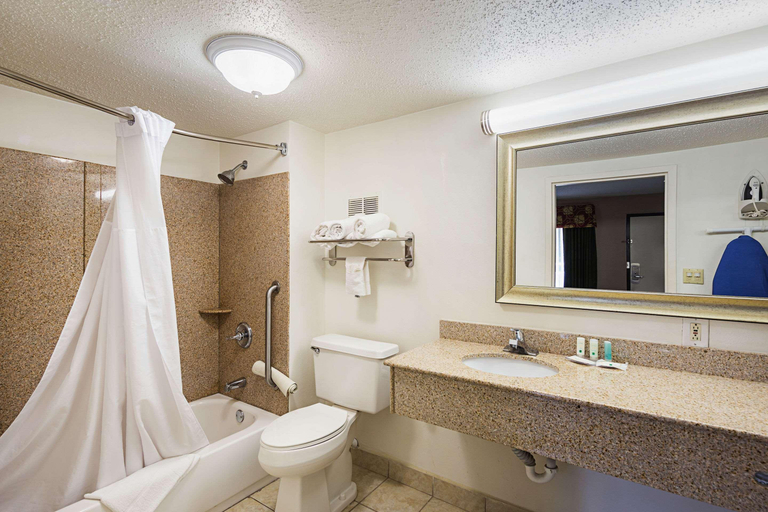 Bathroom 5, Quality Inn & Suites Haywood Mall Area, Greenville