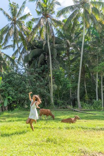 Others 5, Xanadu: 5BR Ubud Retreat, Rice Field view, Max 12!, Gianyar