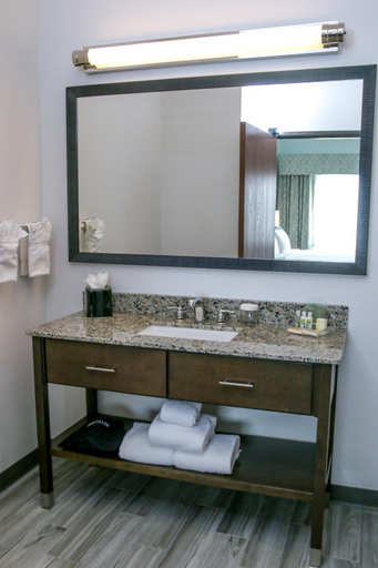Bathroom 2, Holiday Inn & Suites Denver Tech Center-Centennial by IHG, Arapahoe