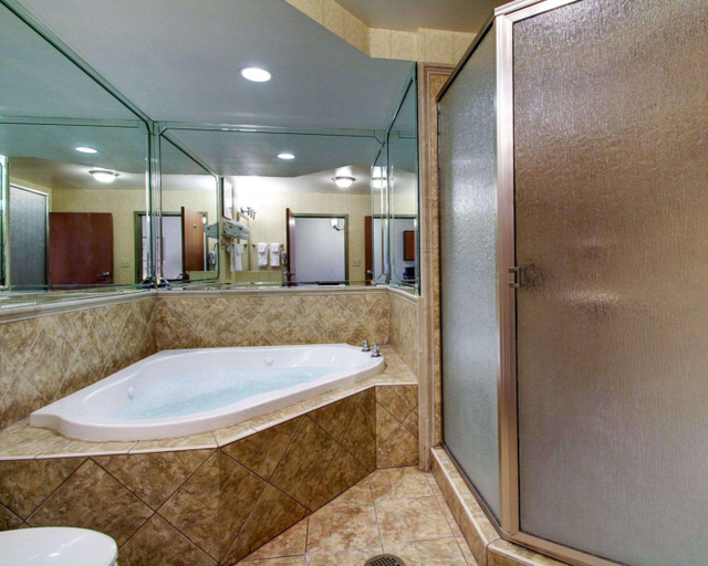 Bathroom 4, Comfort Suites Vicksburg, Warren