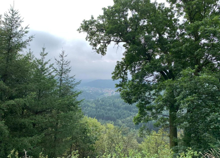 View from property 5, Romantic Stay in Saint-quirin, Moselle