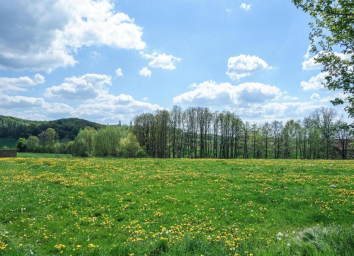 Others 4, Holiday Home in Germany With Terrace, Höxter