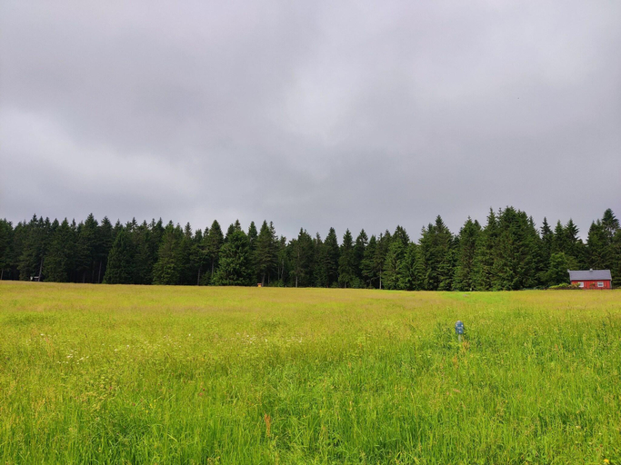 Others 5, Forest Escape with Terrace, Hildburghausen