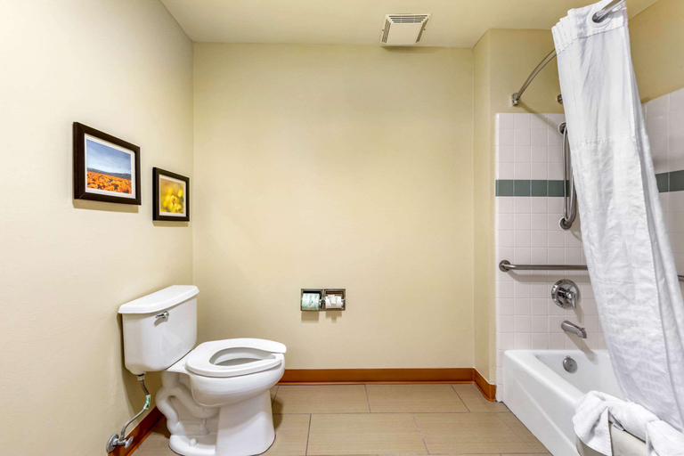Bathroom 4, Comfort Inn & Suites Lancaster Antelope Valley, Los Angeles