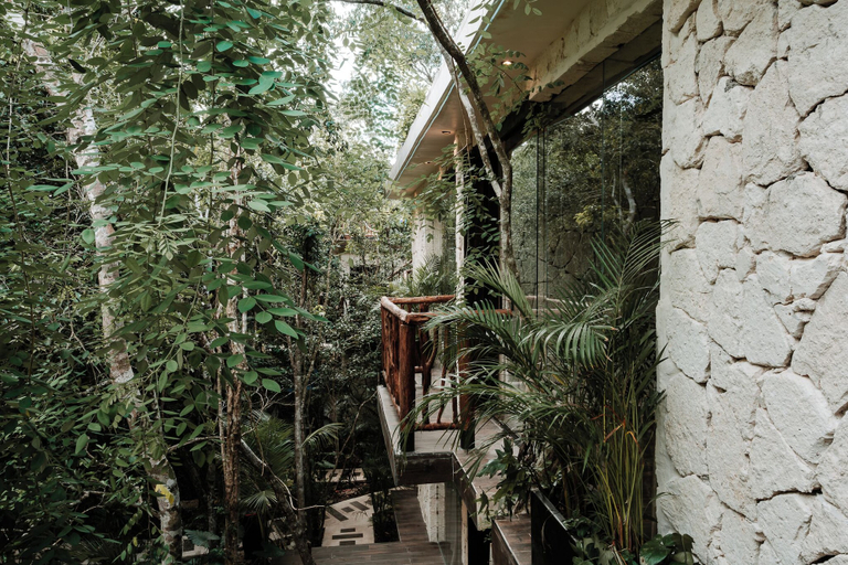 Others 3, Tulum Jungle Villa Aire, Cozumel