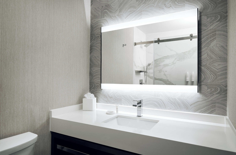 Bathroom 4, Chicago Marriott Oak Brook, Dupage