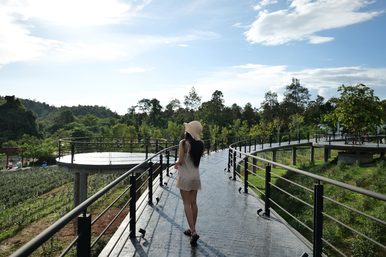 Others 2, PASSA Tea Plantation @Mae On, K. Mae On