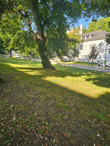 Others 5, Hotel MALEPARTUS am Kurpark, Rheingau-Taunus-Kreis