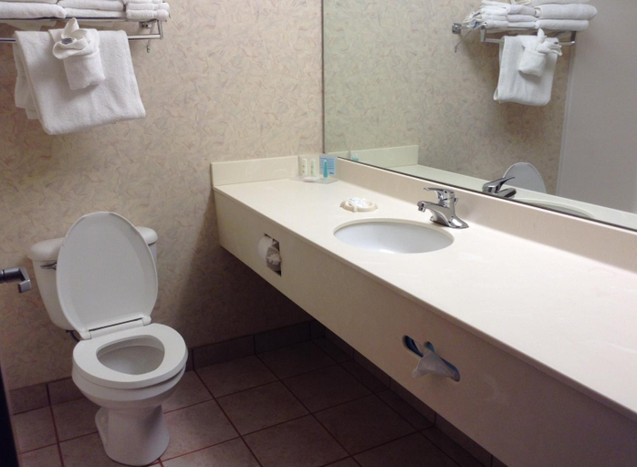 Bathroom 4, Bayside Hotel of Mackinac, Cheboygan