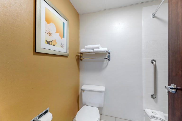 Bathroom 5, Quality Inn & Suites Sandusky, Erie