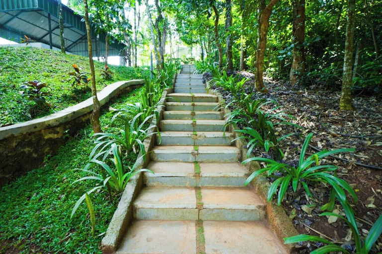 Others 4, Holiday Courtyard, Wayanad