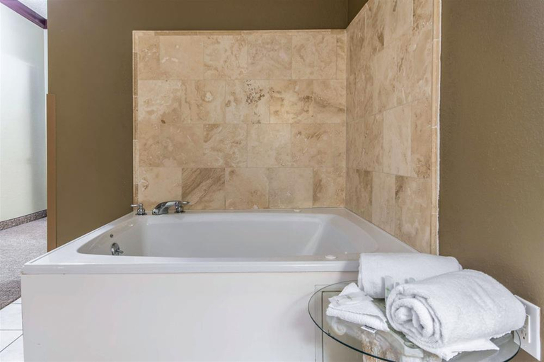Bathroom, Comfort Suites Owensboro South, Daviess