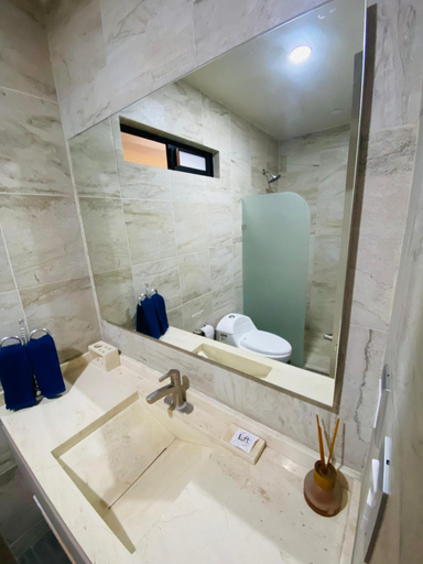Bathroom 3, Loft Platino, San Agustín Tlaxiaca