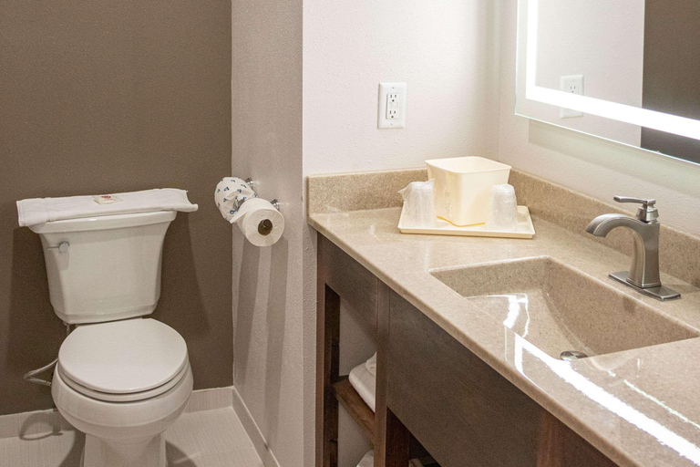Bathroom 4, Comfort Inn Sioux City South, Woodbury