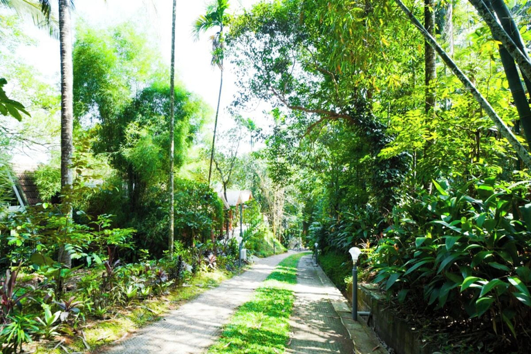 Others 4, Holiday Courtyard, Wayanad
