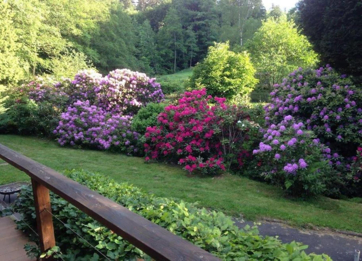 View from property 3, Romantic Stay in Saint-quirin, Moselle