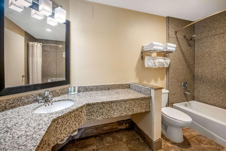 Bathroom 4, Quality Inn & Suites Baymeadows, Duval