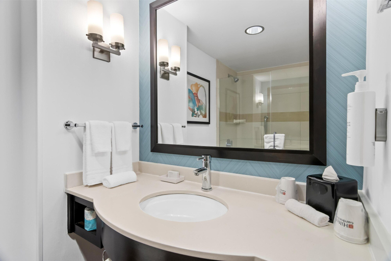 Bathroom 4, Hilton Garden Inn Chicago Downtown Riverwalk, Cook