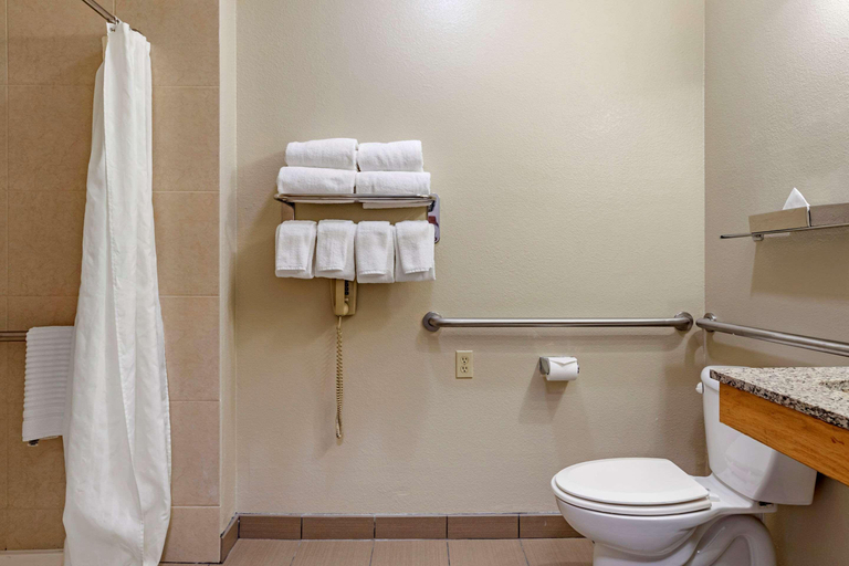 Bathroom 4, Comfort Inn & Suites Paw Paw Area, Van Buren