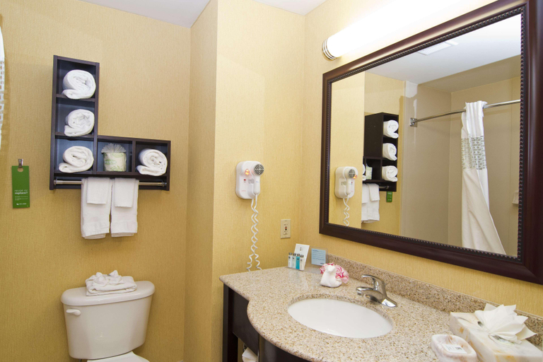 Bathroom 4, Hampton Inn & Suites Orlando Intl Dr N, Orange